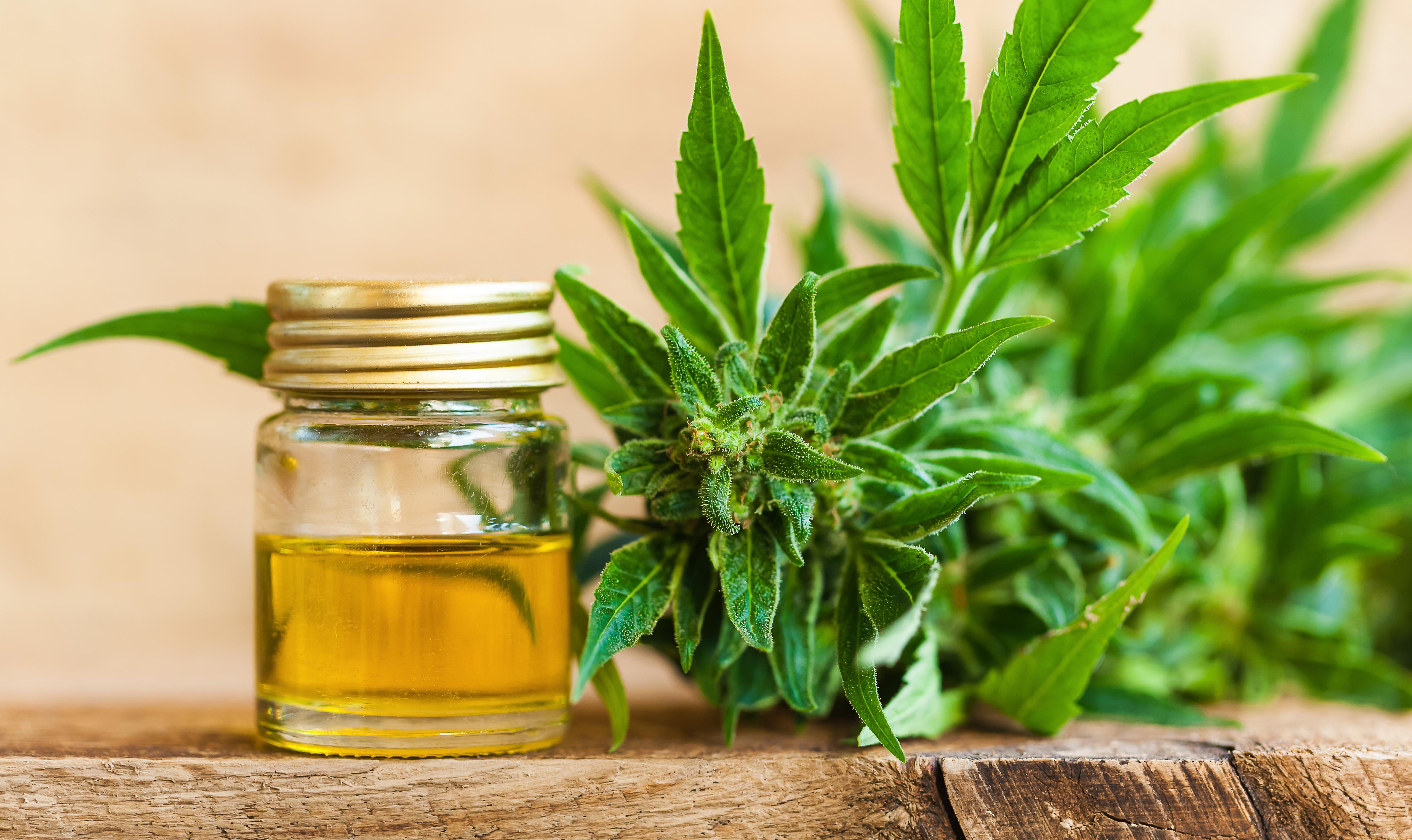 7Things You Have To Know About CBD